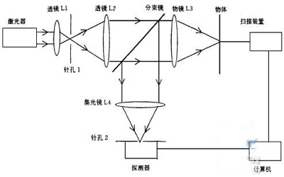 图1激光共焦扫描显微镜典型光路图