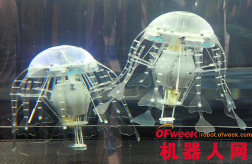 世界上最受欢迎十大仿生机器人