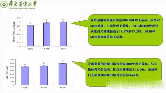 专家解读植物工厂推广可行性：前景光明