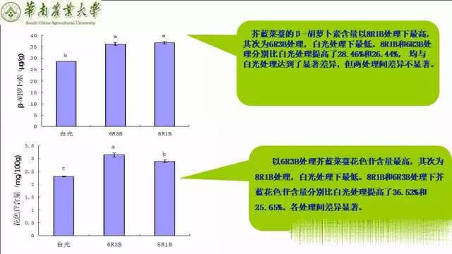 专家解读植物工厂推广可行性：前景光明