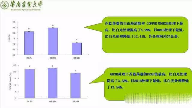 专家解读植物工厂推广可行性：前景光明