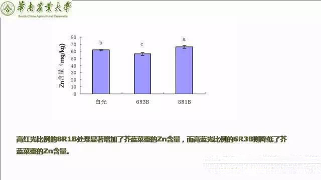 專家解讀植物工廠推廣可行性:前景光明