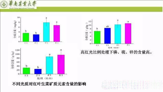 专家解读植物工厂推广可行性：前景光明