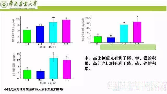 专家解读植物工厂推广可行性：前景光明