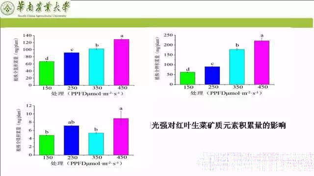 专家解读植物工厂推广可行性：前景光明