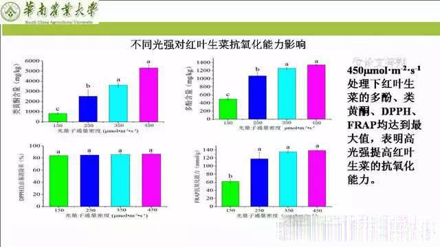 专家解读植物工厂推广可行性：前景光明