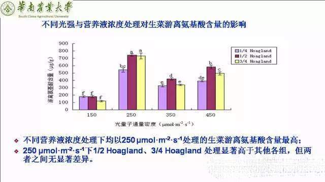 專家解讀植物工廠推廣可行性:前景光明