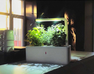 LED照明设计：居家智能型小花园