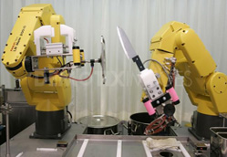 中国机器人厂家泡沫式增长 自动化风险被漠视