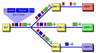 йŹ˵(FTTH)ƹ淶